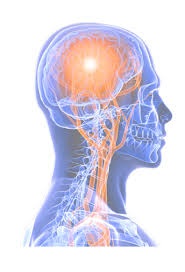 2018 Neuro Multidisciplinary Case Conference (Occurs Monthly, 2nd Tuesday) Banner